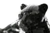 Ashley Furniture A2000419 Drice - Sculpture - Black