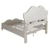 CoasterElevations 223391Q-S4 Evangeline - Queen 4 Piece Bedroom Set - Silver Oak