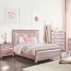 Furniture of America CM7170RG-M Avior - Mirror - Rose Gold