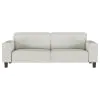 Coaster Fine Furniture 509647 Deerhurst - Upholstered Track Arm Tufted Sofa - Greige