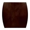 Furniture of America CM3024PT Woodside - Counter Height Table With Leaf - Espresso