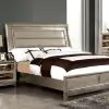 Furniture of America CM7295SV-N Golva - Nightstand - Silver