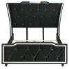 Coaster Fine Furniture 223161Q Lorient - Queen LED Upholstered Wingback Bed - Black