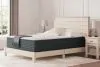 Sierra Sleep® by Ashley M43651 Sierra Sleep® by Ashley M43651 Hybrid 1300 - California King Mattress - White