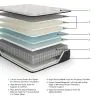 Ashley Sleep® M40631 Elite Springs Plush - Queen Mattress - Gray / Blue