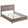 CoasterEveryday 207040Q Brantford - Wood Queen Storage Panel Bed - Barrel Oak