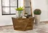 CoasterElevations 724188 Zalika - Hexagonal Solid Mango Wood Coffee Table - Natural