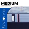 Tempur Sealy 53199640 Tempur Sealy 53199640 Posturepedic Pro - Dupont II Tight Top Medium Mattress - Full
