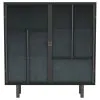 Coaster Fine Furniture 950385 Dalia - 2 Door Accent Storage Cabinet With Shelving - Black