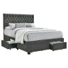 CoasterEssence 305877F Soledad - Upholstered Full Storage Panel Bed - Gray