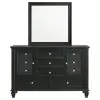 CoasterEssence 201323M Sandy Beach - 11-Drawer Dresser With Mirror - Black