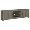 CoasterEssence 701025 Burke - 2 Door Engineered Wood TV Stand - Gray Driftwood