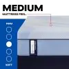 Tempur Sealy 53204151 Tempur Sealy 53204151 Posturepedic Plus - Paterson II Medium Mattress - Queen
