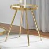 CoasterEssence 723917 Kaelyn - Round Mirror Top End Table - Gold