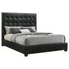 Coaster Fine Furniture 315911BLKQ Medley - Genuine Leather Queen Panel Platform Bed - Black