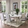 Furniture of America CM3630SC-2PK Daniella - Side Chair (Set of 2) - Antique White / Gray