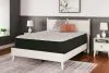 Ashley Sleep® M40631 Elite Springs Plush - Queen Mattress - Gray / Blue