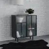 Coaster Fine Furniture 950385 Dalia - 2 Door Accent Storage Cabinet With Shelving - Black