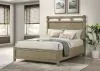 Coaster Fine Furniture 207531QB1 Hazlewood - Queen Headboard, Footboard & Slats, Box 1 of 2 - Vineyard Oak