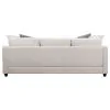 CoasterEssence 501840 Mcloughlin - Upholstered Sloped Arm Sectional Sofa - Platinum