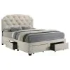 Coaster Fine Furniture 316011QB1 Marianna - Queen Headboard, Drawers & Slats, Box 1 of 2 - Cream