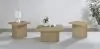 Coaster Fine Furniture 710918-S3 Devar - 3 Piece Square Cocktail Coffee End Table Set - Latte
