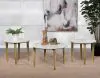 Coaster Fine Furniture 703718-S3 Aldis - 3 Piece Coffee And End Table Set - White