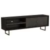 Coaster Fine Furniture 703003 Marsden - 2 Door Mango Wood TV Stand - Charcoal Black