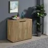 Coaster Fine Furniture 950394 Pepita - 2 Door Engineered Wood Accent Cabinet - Mango Brown