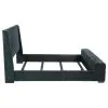 Coaster Fine Furniture 305821Q Preston - Upholstered Queen Audio Flame Visualizer Bed - Blue