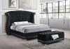 CoasterElevations 300644 Barzini - Velvet Upholstered Tufted Storage Bench - Black