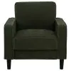 Coaster Fine Furniture 511216 Ruth - Fabric Upholstered Track Arm Accent Chair - Matcha Green
