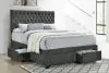 CoasterEssence 305877Q Soledad - Upholstered Queen Storage Panel Bed - Gray