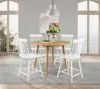 Coaster Fine Furniture 122508-S5W Andrews - 5 Piece Round Counter Dining Set - Light Ash And White