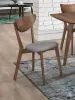 CoasterEveryday 108082 Alfredo - Dining Side Chair (Set of 2) - Gray And Natural Walnut