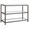 CoasterEssence 720229 Trini - 2-Shelf Glass Top Entryway Console Table - Black Nickel