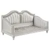 Coaster Fine Furniture 360121B2 Evangeline - Back Panel & Rails, Box 2 of 2 - Silver Oak