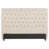 CoasterEssence 300525QB1 Devon - Upholstered Queen Panel Headboard - Beige