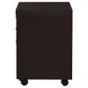 CoasterEveryday 800894 Skylar - 3-Drawer Home Office Mobile File Cabinet - Cappuccino
