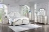 CoasterElevations 223391Q-S5 Evangeline - Queen 5 Piece Bedroom Set - Silver Oak