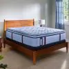 Tempur Sealy 53199840 Tempur Sealy 53199840 Posturepedic Pro - Dupont II Euro Pillow Top Medium Mattress - Full