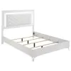 Coaster Fine Furniture 215791Q Cassia - Queen LED Panel Bed - White High Gloss