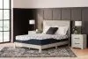 Sierra Sleep® by Ashley M42611 12 Inch Chime Elite 2.0 - Twin Mattress - White / Blue