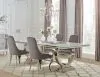 CoasterElevations 108811-S5G Antoine - 5 Piece Rectangular Glass Top Dining Table Set - Gray