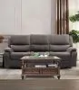 Furniture of America CM9911DG-SF Henricus - Sofa - Dark Gray