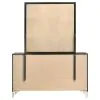 Coaster Fine Furniture 224993M Lucia - 6-Drawer Dresser And Mirror - Black
