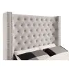 Furniture of America CM7679IV-Q-VN Mirabelle - Queen Bed - Ivory