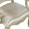 New Classic D992-25 Monique - Arm Chair (Set of 2) - Champagne