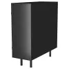 Coaster Fine Furniture 950385 Dalia - 2 Door Accent Storage Cabinet With Shelving - Black
