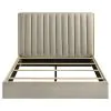 Coaster Fine Furniture 223111Q Arielle - Queen Bookcase Panel Storage Bed - Light Oak